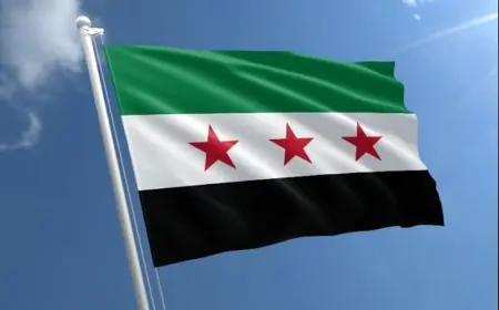 SANA, Web Sitesine Kürtçe Yayın Ekledi