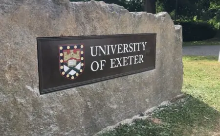 İngiltere’deki Exeter Üniversitesi ilk kez Kürtçe kursu açıyor