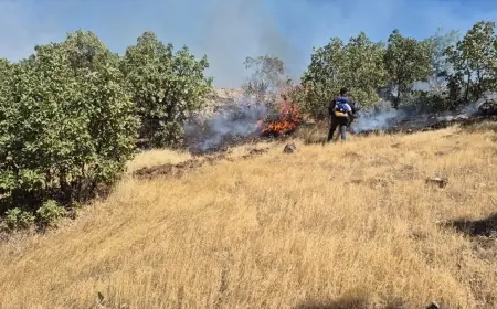 Mardin'de ormanlık alanda yangın