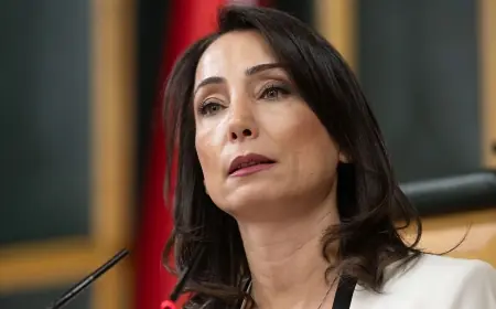 Hatimoğulları: 'Şam merceğinden Türkiye’deki çözüm sürecine bakılamaz'