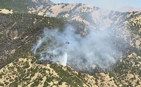 Şemdinli'de orman yangını