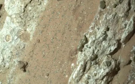 'Mars'ta  yaşam belirtisi bulundu'