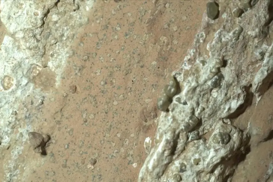 'Mars'ta yaşam belirtisi bulundu'