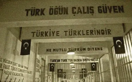 Hüsamettin Turan- 12 Eylül Darbesinin Mağdurlarında Psikososyal Etkiler ve Ötekileştirme Deneyimi: Diyarbakır Cezaevi Örneği