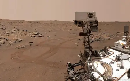 Mars'ta bulunan yaşam belirtisi ne anlama geliyor?