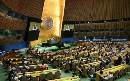 Neteweyên Yekbûyî ji bo Îsraîl û Filistînê piştgiriya çareseriya du dewletî dike