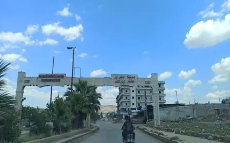 Suriyeli siyasetçi: Afrin’e Kürtlerin dönüşü için ortak komiteler kurulmalı