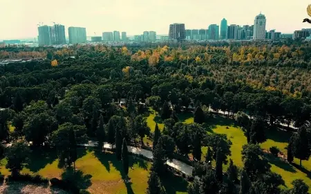 Kürdistan Bölgesi iki stratejik orman inşa ediyor