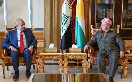 Serok Barzanî û şanda hevpeymaniyên Hesim û Neynawayê hilbijartinên Iraqê nîqaş kirin