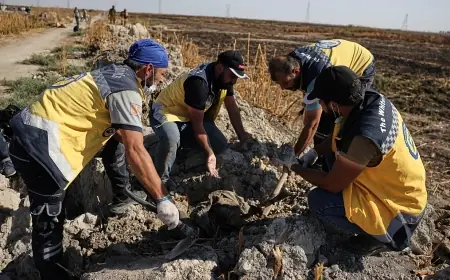 Şam yakınlarında bir toplu mezardan 25 ceset çıkarıldı