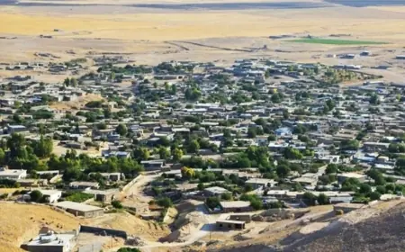 Mahmur Kampı'nın meclis eş başkanı gözaltına alındı