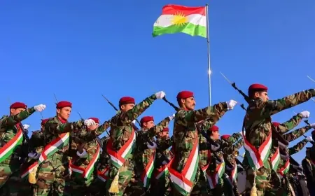 ABD Savaş Bakanlığı IŞİD'le mücadele fonunu açıkladı: Peşmerge yardımlarında yeni düzenleme