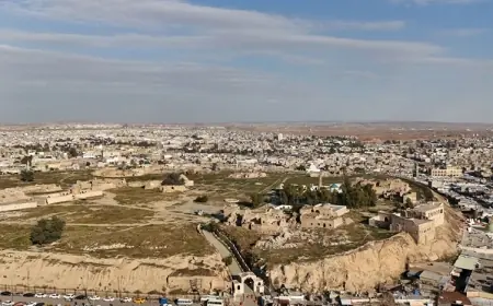 Kerkük: Tarlasına Arapların yerleştirilmesine itiraz eden Kürt çiftçiye hapis cezası