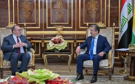 ABD'li yetkili: Kürdistan Bölgesi bölgedeki stratejik ortağımızdır