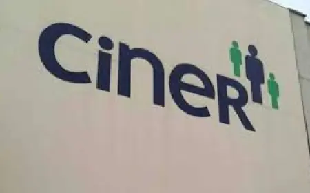 Ciner Grup'a operasyon: Şirketlerin yöneticileri gözaltında