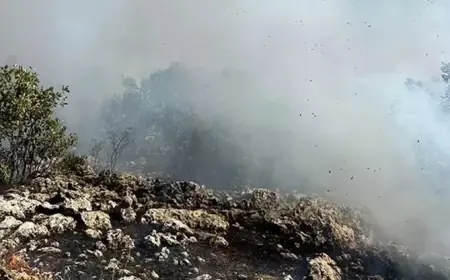 Diyarbakır Dicle’de örtü yangını