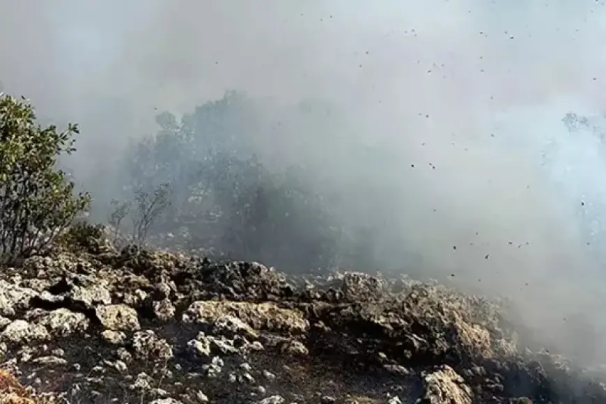 Diyarbakır Dicle’de örtü yangını
