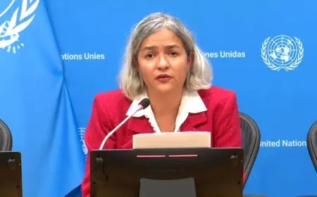 BM yetkilisi: Ezidi Kürtleri ve Afrin'deki kayıpları arayacağız