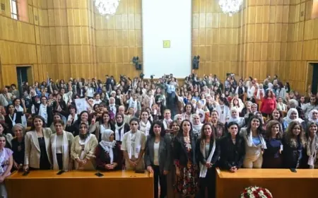 Yalan Rüzgarları Komedisi ve Hakikat