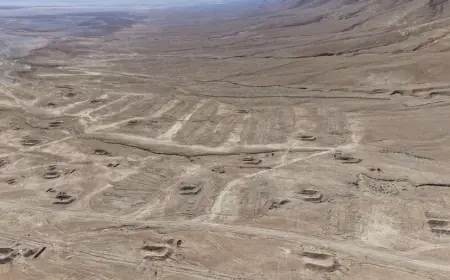 Suriye’de korkunç gizleme operasyonu: On binlerce ceset gizlice taşındı