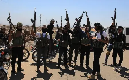 Almanya: Li Sûriyeyê ti kes ne parastî ye