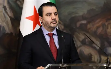 Şeybanî: Em HSDê wek beşek bingehîn ji Sûriyeyê dibînin û federalîzmê red dikin