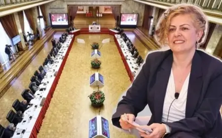 Prof. Dr. Çelik: Yeni barış süreci toplumsal meşruiyetten yoksun