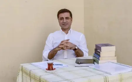'Çözüm süreci kapsamında Demirtaş ile de görüşüldü' iddiasına yanıt