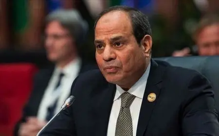 Sisi: Avrupa'ya mülteci akışını biz durdurduk