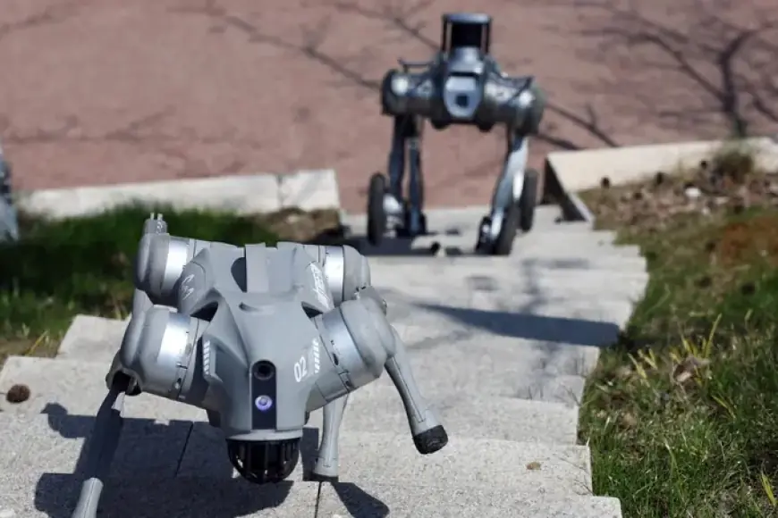 Çin’den yapay zekâyı askeri alanda kullanma yarışında yeni adım: Yapay zekâ destekli robot köpekler