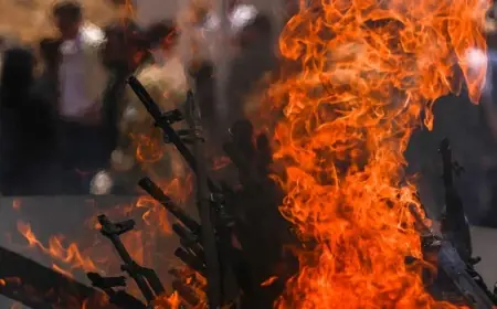 DEM Parti: Ülkenin geleceğini silahların gölgesi değil halkın ortak iradesi belirleyecek