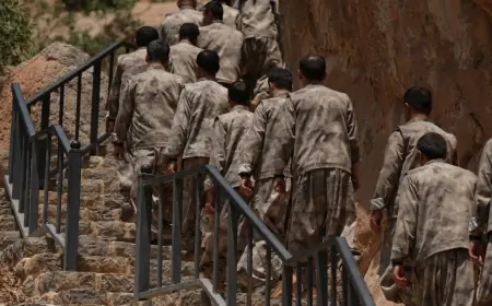 Selvi’den Yeni süreç için tarihi yasa modeli önerisi