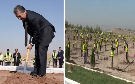 Mesrur Barzani: Erbil Yeşil Kuşak projesi gençlerimize iş imkanı sağlıyor