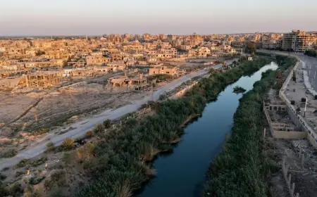 Suriye: Esad devrildiğinden bu yana 430 binden fazla kişi yerinden edildi