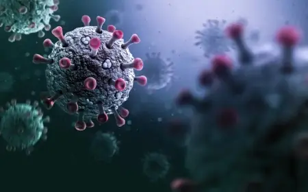 Brezilya’da yeni koronavirüs tespit edildi