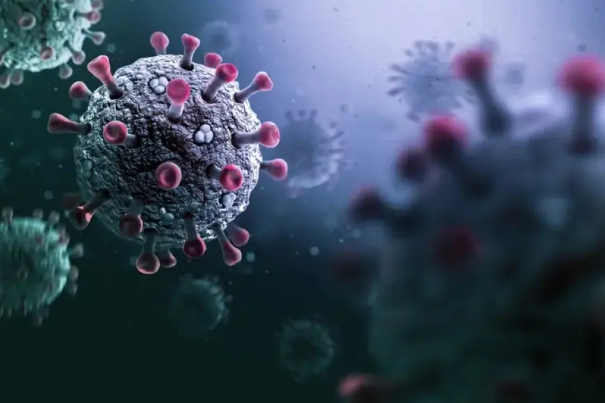 Brezilya’da yeni koronavirüs tespit edildi