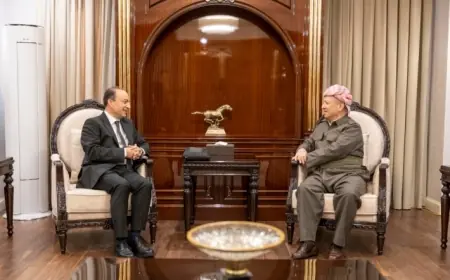 Başkan Barzani, Osman Baydemir ile çözüm sürecini görüştü