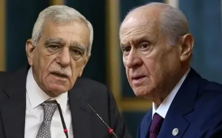 Ahmet Türk, Devlet Bahçeli ile görüşecek