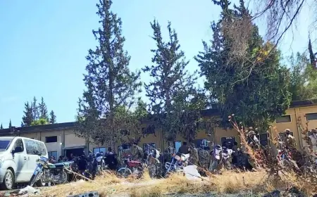 Fransız Göçmen Birliği ile Şam arasında sessiz gerilim