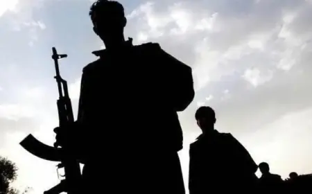 PKK hayatını kaybeden 10 üyesinin kimlik bilgilerini açıkladı