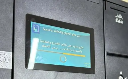 Irak’ta ve Kürdistan Bölgesi’nde Özel Oy Kullanma Süreci Tamamlandı