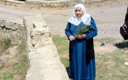 Barış Annesi Türkan Çelik hayatını kaybetti