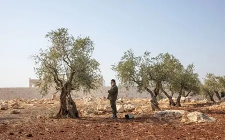 Bir Suriye köyünden Beyaz Saray’a uzanan uzun yol