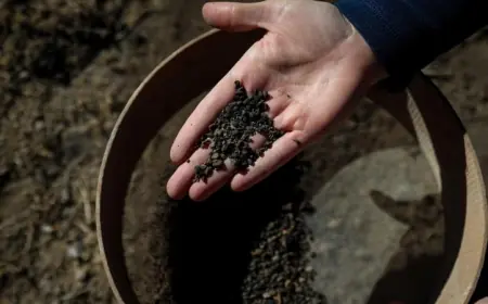 Van'da 5 bin yıllık arpa taneleri bulundu