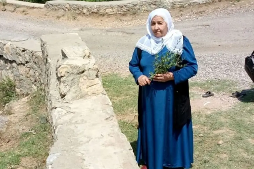 Barış Annesi Türkan Çelik hayatını kaybetti