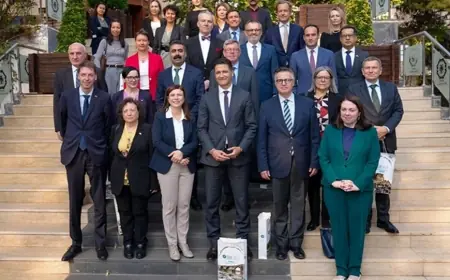 Şandeyeke Yekîtiya Ewropayê çû serdana Şaredariya Bajarê Mezin a Amedê