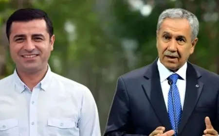 Arınç, Demirtaş ziyaretini anlattı: 'AİHM kararlarına uyulmalı'
