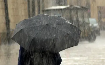 Diyarbakır, Hakkari, Batman ve Muş dahil çok sayıda kent için yağış uyarısı