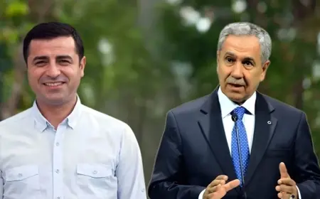 Bulent Arinç: Demîrtaş ji hevjîna xwe re gotiye ‘Êdî tu here’