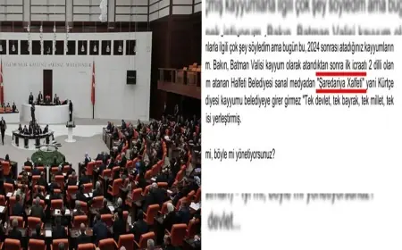 TBMM tutanaklarında ilk defa Kürtçe ifadeler yer aldı